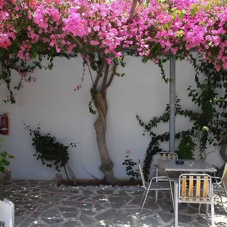 Hotel Belvita